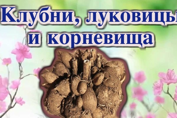 Кракен актуальное зеркало 2kmp