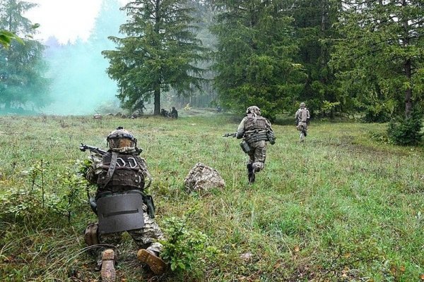Рабочее зеркало на кракен