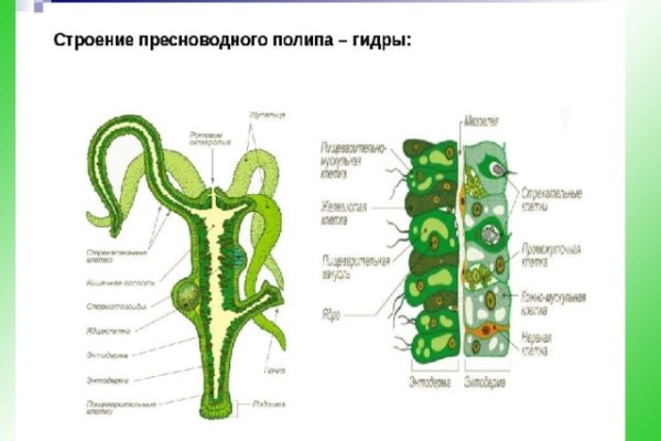Кракен актуальная
