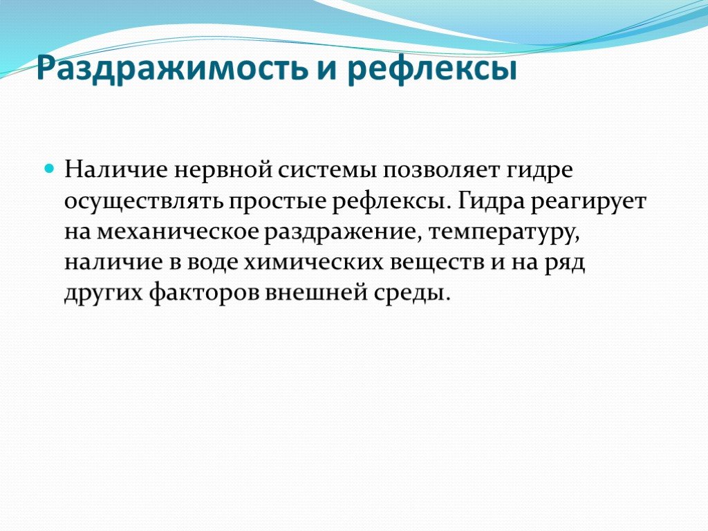 Kit kraken официальный сайт