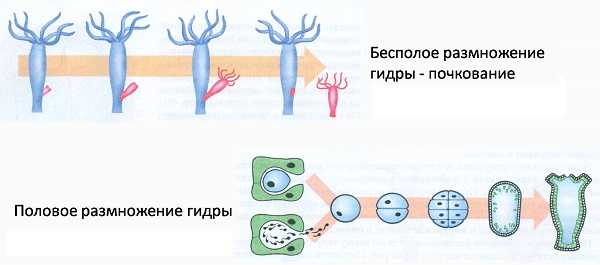 Kraken ссылка kraken014 com